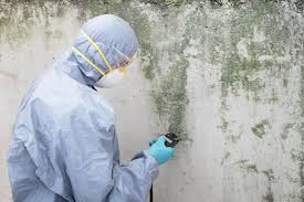 Madera Ranchos, CA Mold Inspection Company